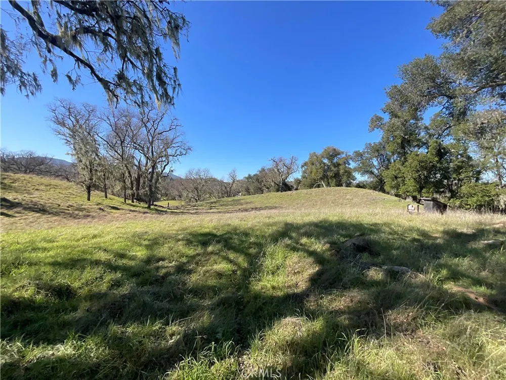 49253 Sapaque Bradley, CA 93426