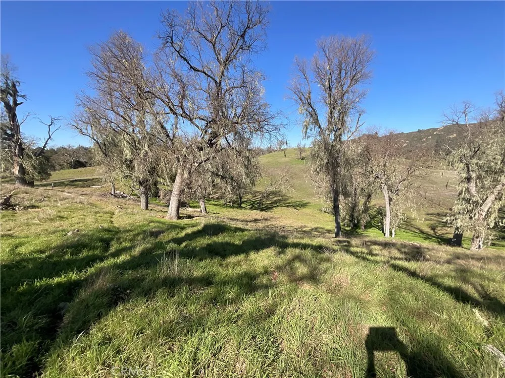 49253 Sapaque Bradley, CA 93426
