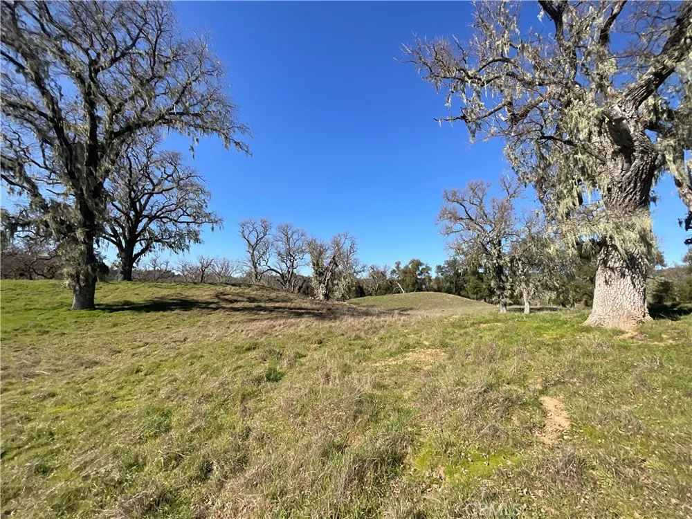 49253 Sapaque Bradley, CA 93426
