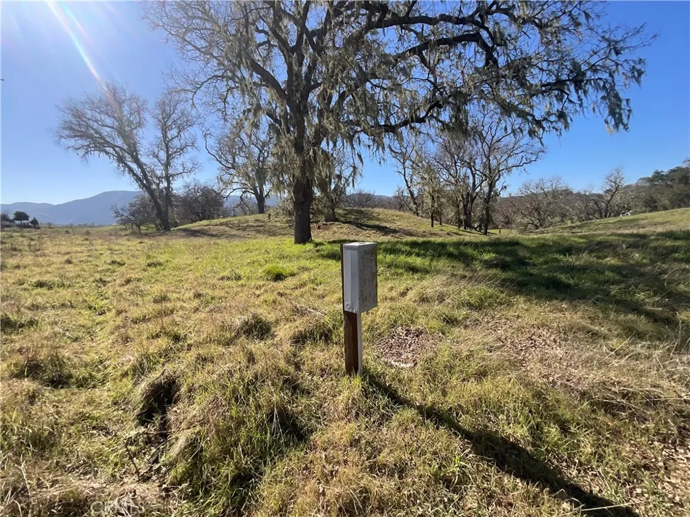 49253 Sapaque Bradley, CA 93426