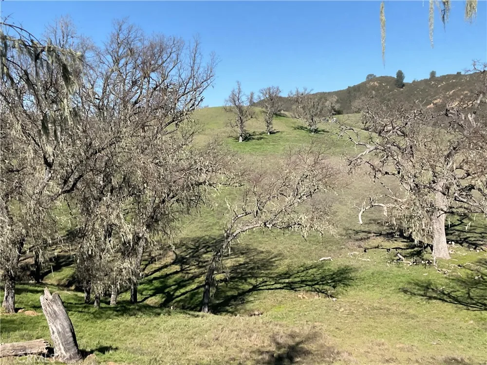 49253 Sapaque Bradley, CA 93426