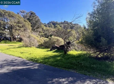 Sobrante Ave