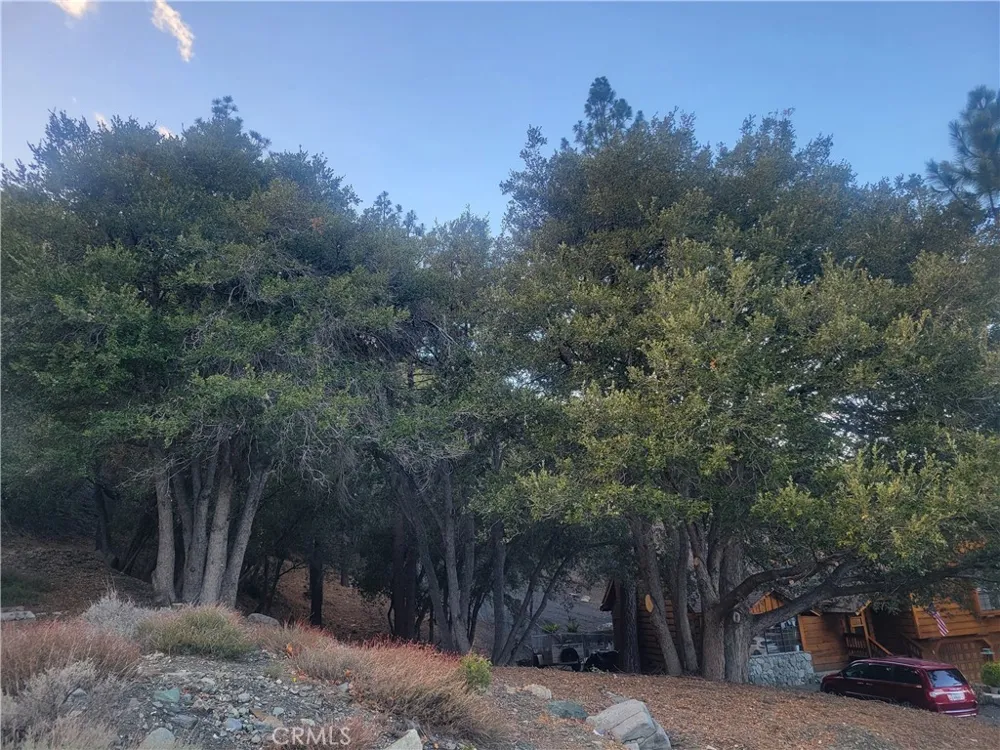 Desert View Wrightwood, CA 92397