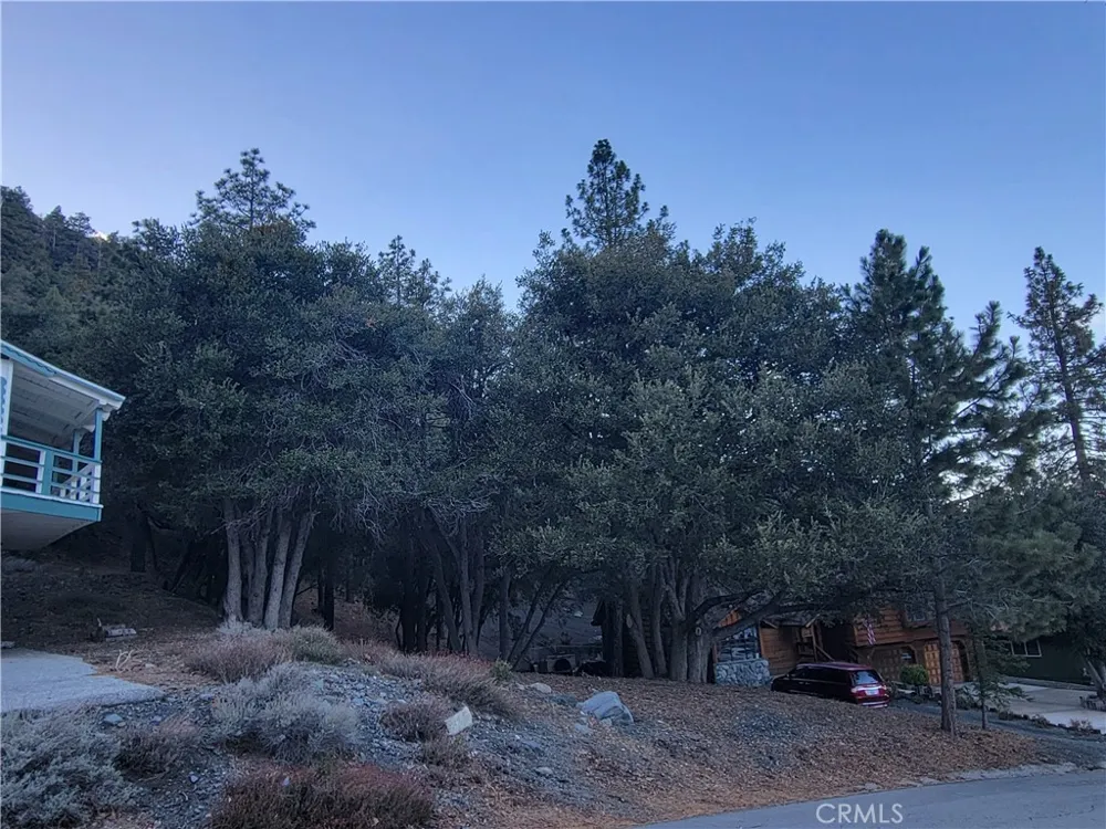 Desert View Wrightwood, CA 92397