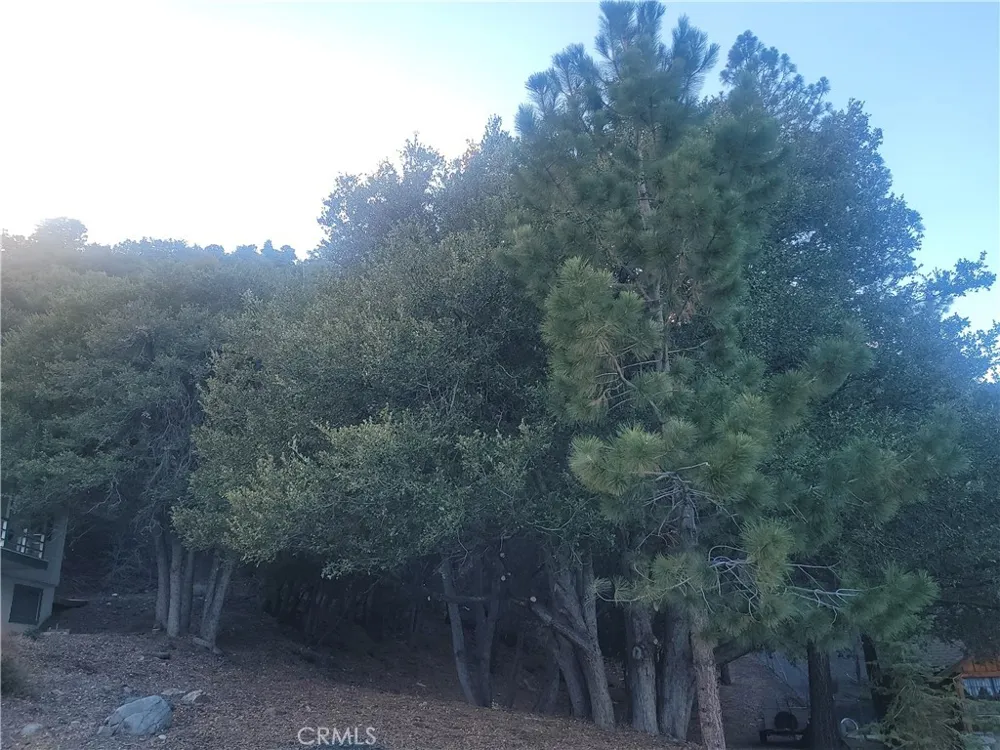 Desert View Wrightwood, CA 92397