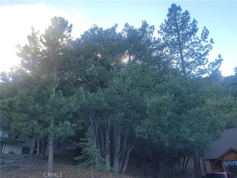Desert View Wrightwood, CA 92397
