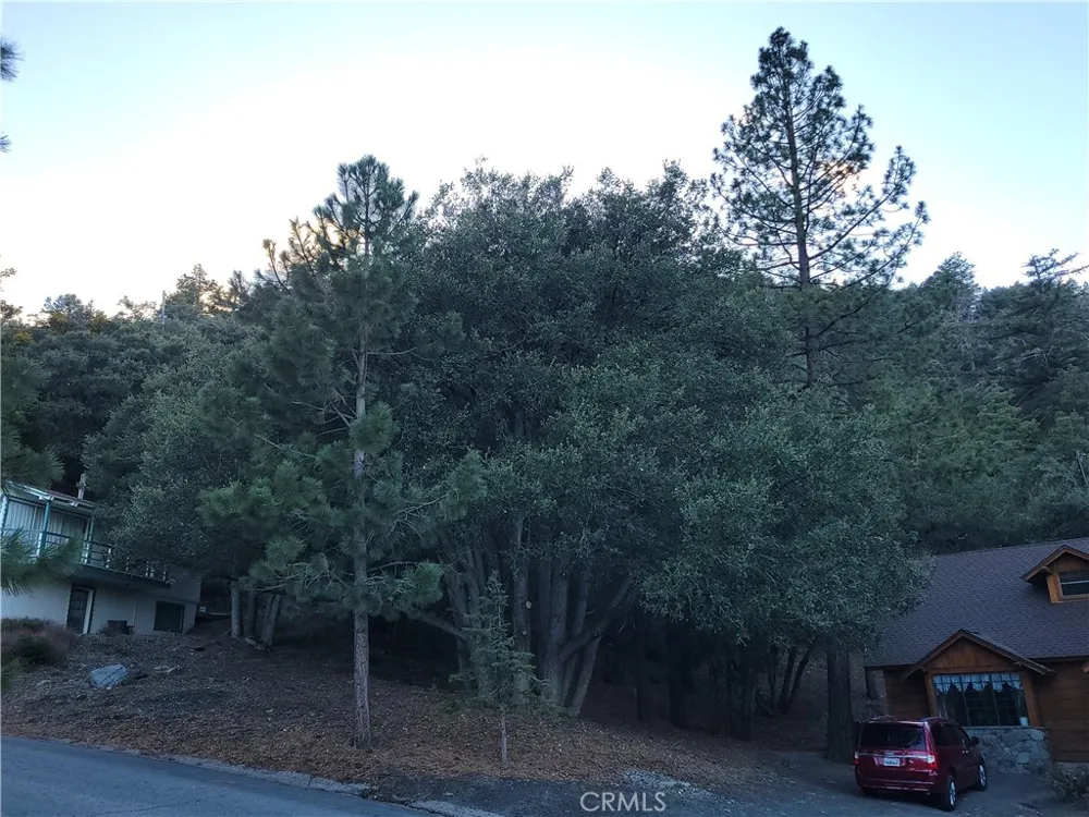 Desert View Wrightwood, CA 92397