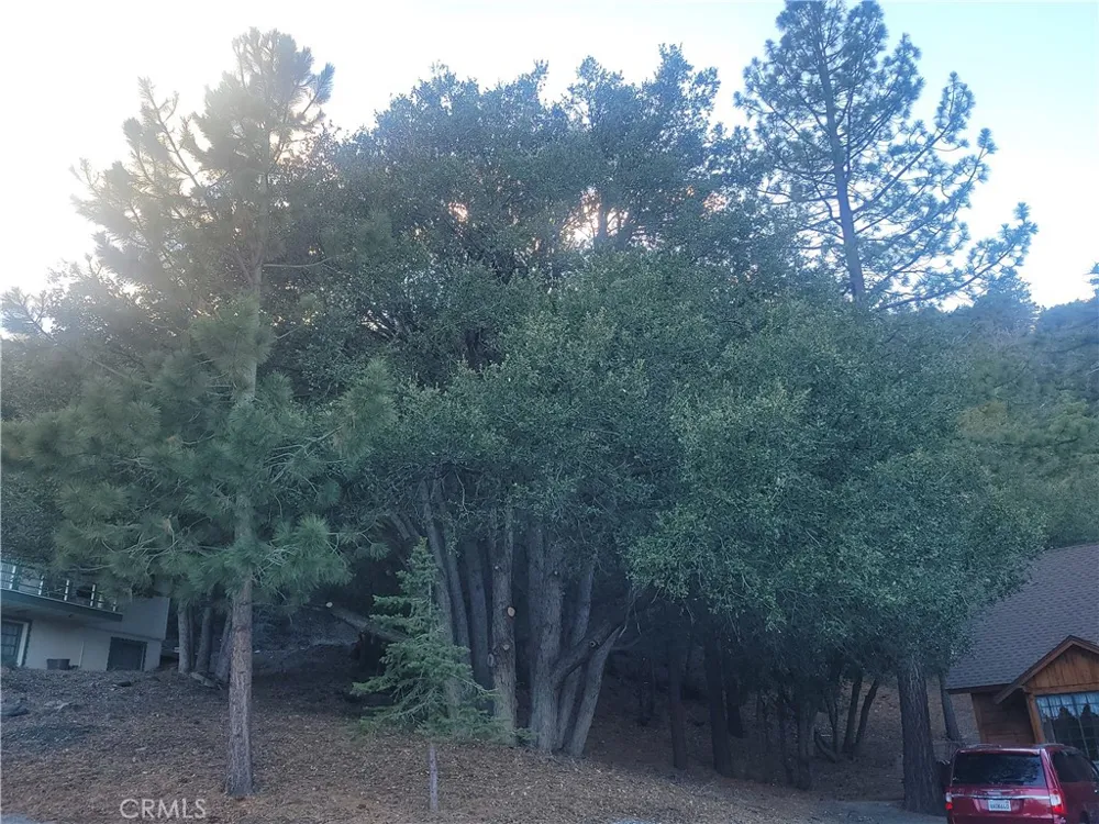 Desert View Wrightwood, CA 92397