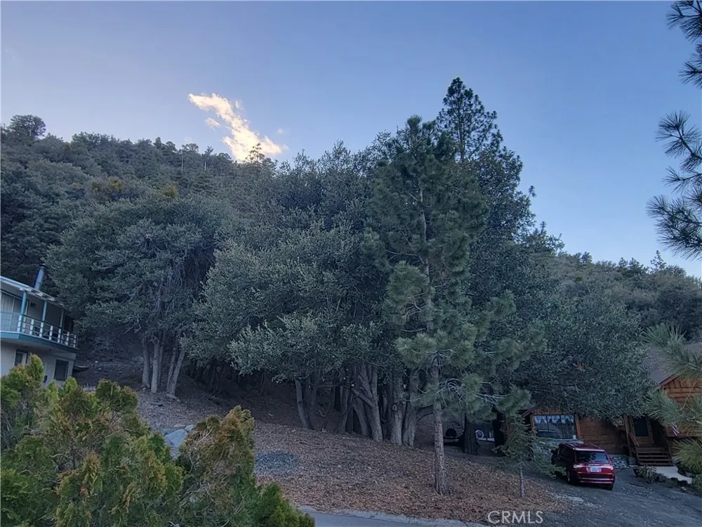 Desert View Wrightwood, CA 92397