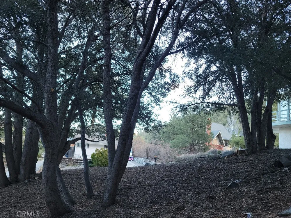 Desert View Wrightwood, CA 92397