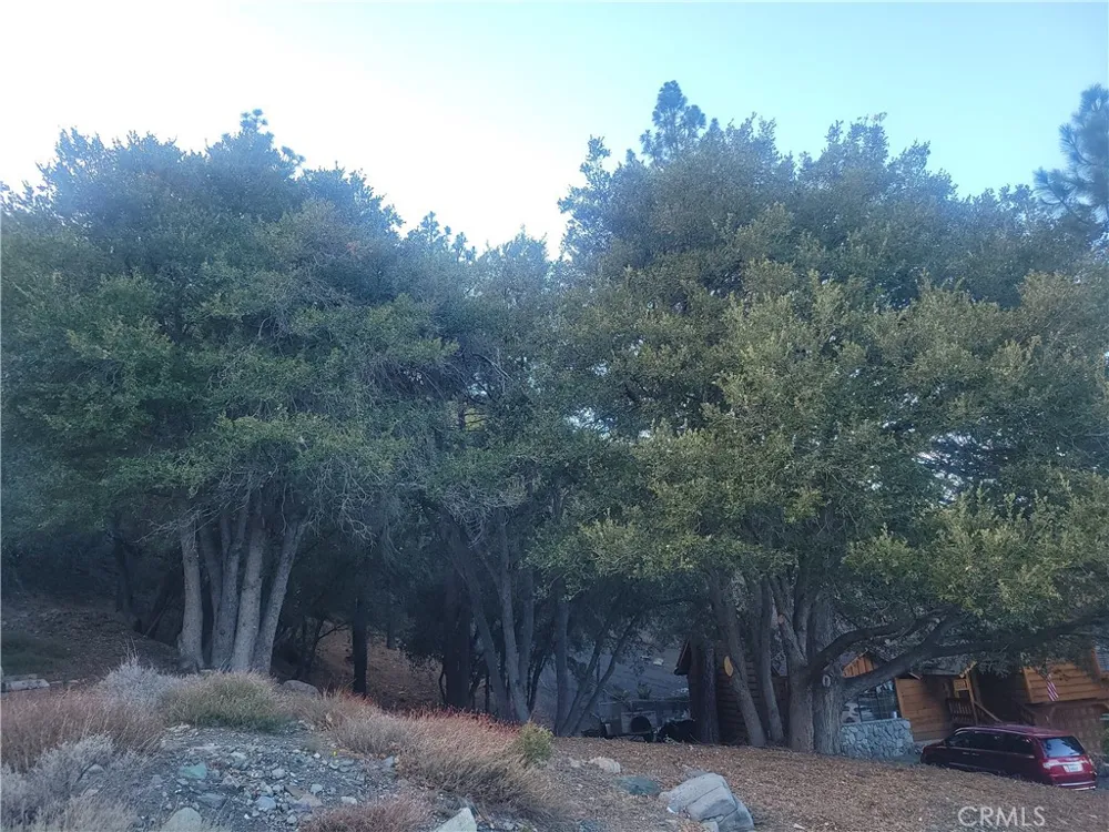 Desert View Wrightwood, CA 92397