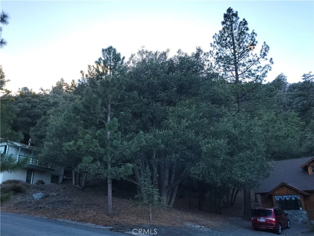 Desert View Wrightwood, CA 92397