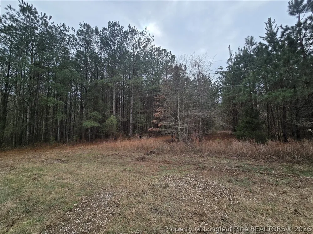 3162 murphy Road Fayetteville, NC 28312