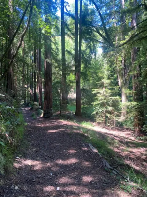 2 Wainwright Pl