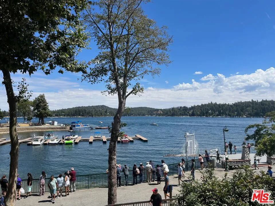 196 Mill Pond Road Lake Arrowhead, CA 92352