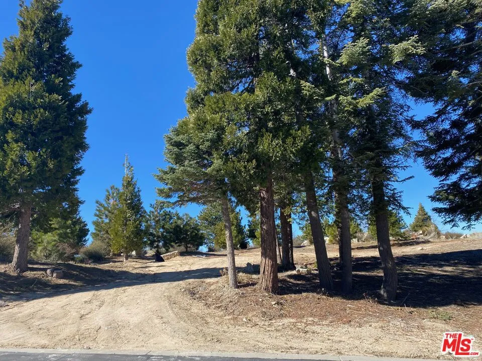 196 Mill Pond Road Lake Arrowhead, CA 92352
