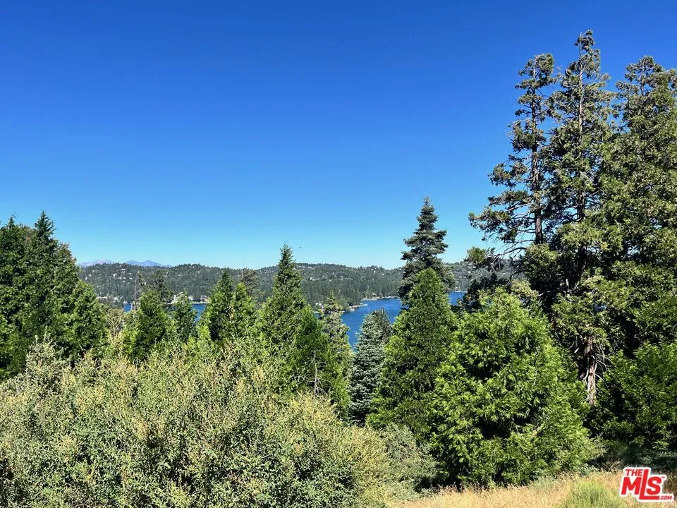 196 Mill Pond Road Lake Arrowhead, CA 92352