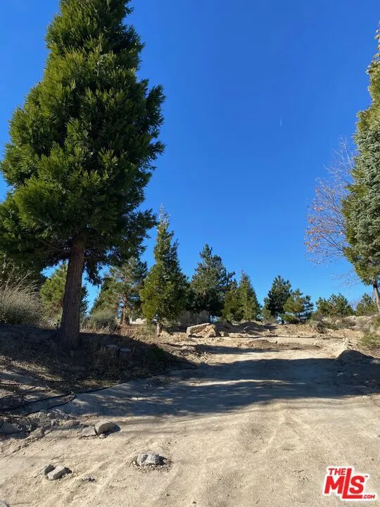 196 Mill Pond Road Lake Arrowhead, CA 92352