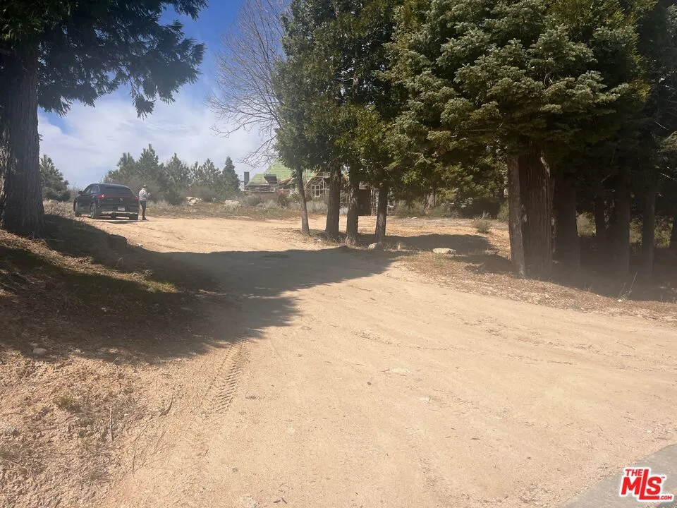 196 Mill Pond Road Lake Arrowhead, CA 92352