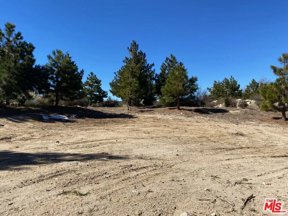 196 Mill Pond Road Lake Arrowhead, CA 92352
