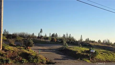 13668 W Park Drive