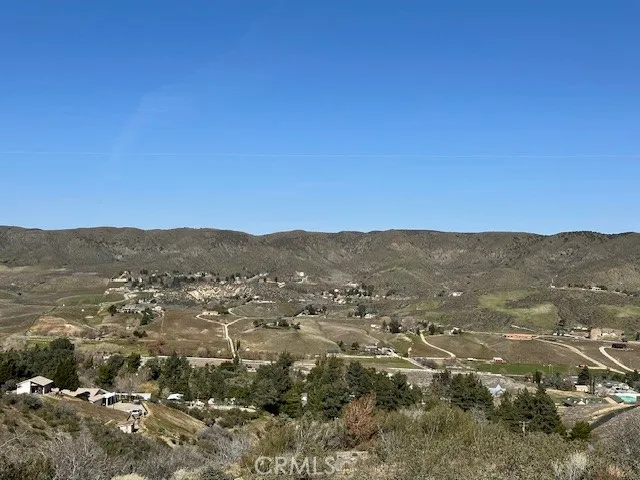 97th St W Leona Valley, CA 93551
