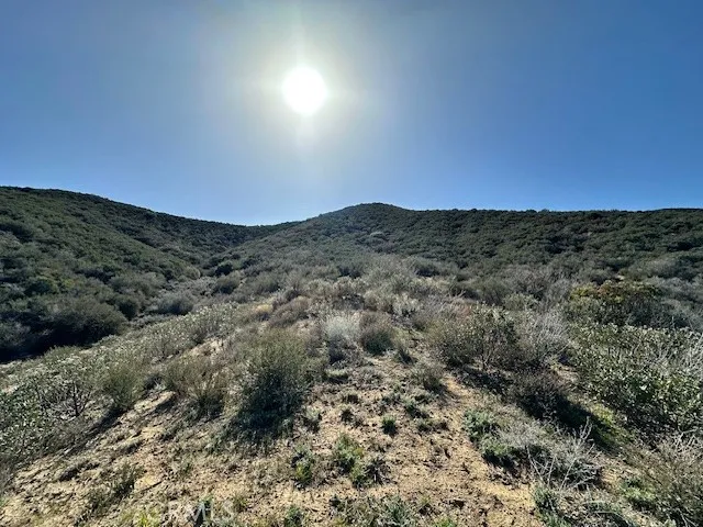 97th St W Leona Valley, CA 93551