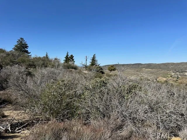 97th St W Leona Valley, CA 93551