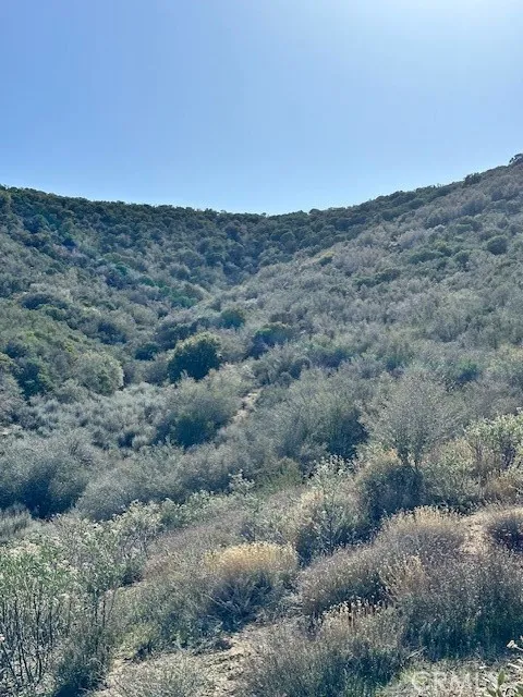 97th St W Leona Valley, CA 93551