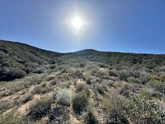 97th St W Leona Valley, CA 93551