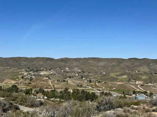 97th St W Leona Valley, CA 93551