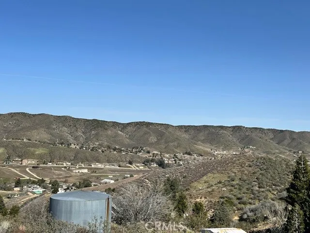 97th St W Leona Valley, CA 93551