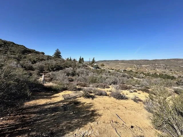 97th St W Leona Valley, CA 93551