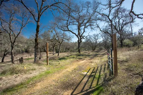 CONDOR ROAD