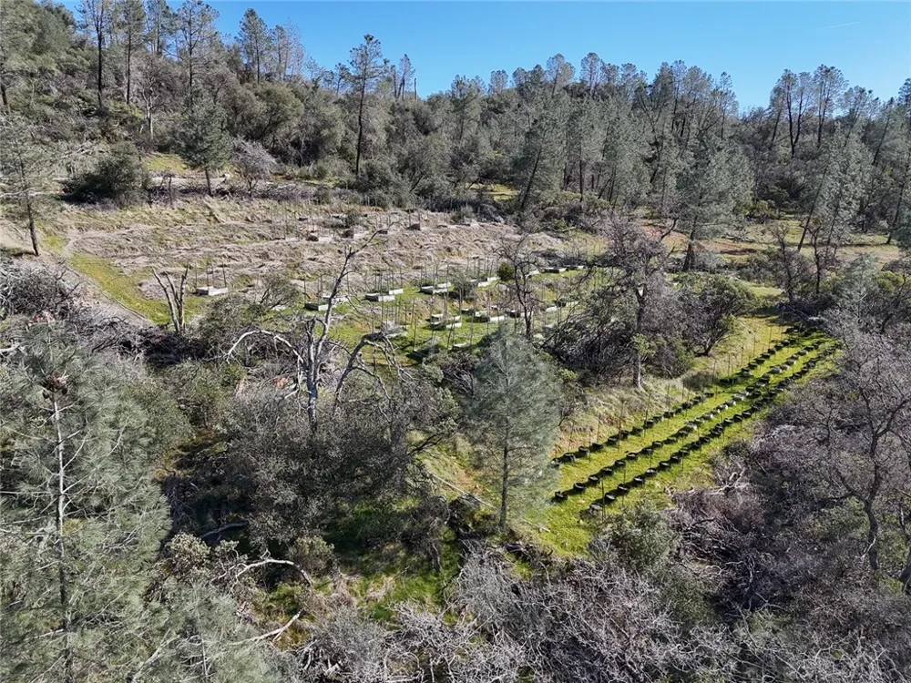 CONDOR ROAD Cherokee, CA 95965