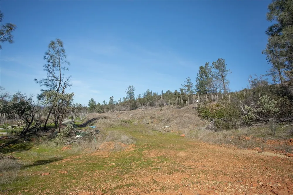 CONDOR ROAD Cherokee, CA 95965