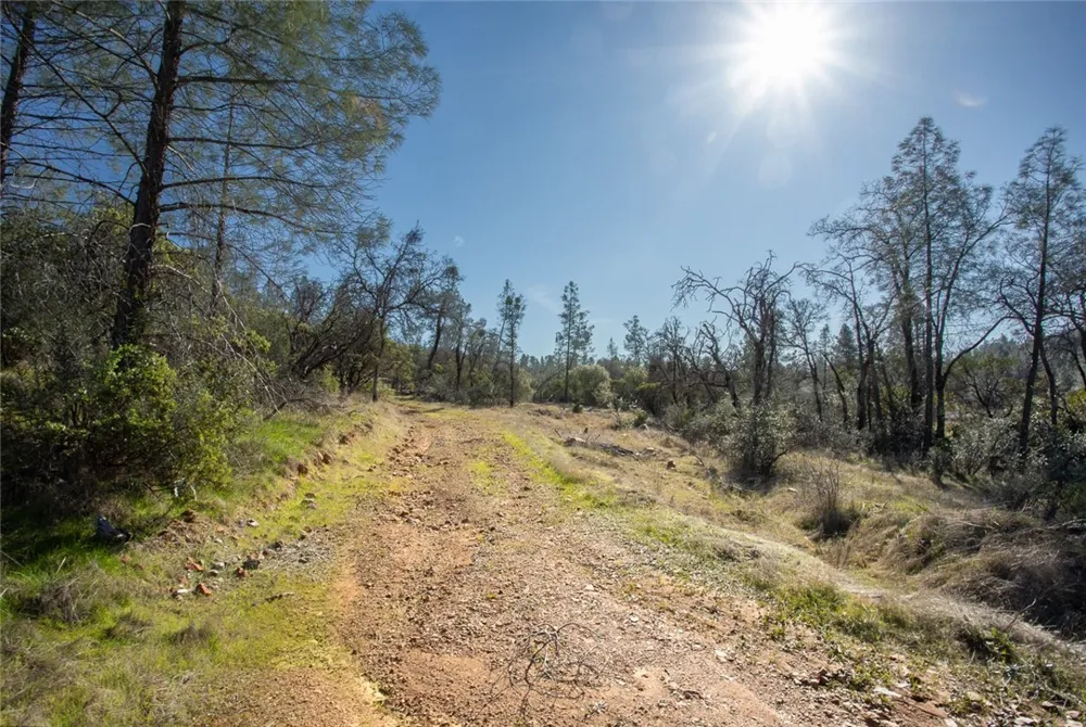 CONDOR ROAD Cherokee, CA 95965
