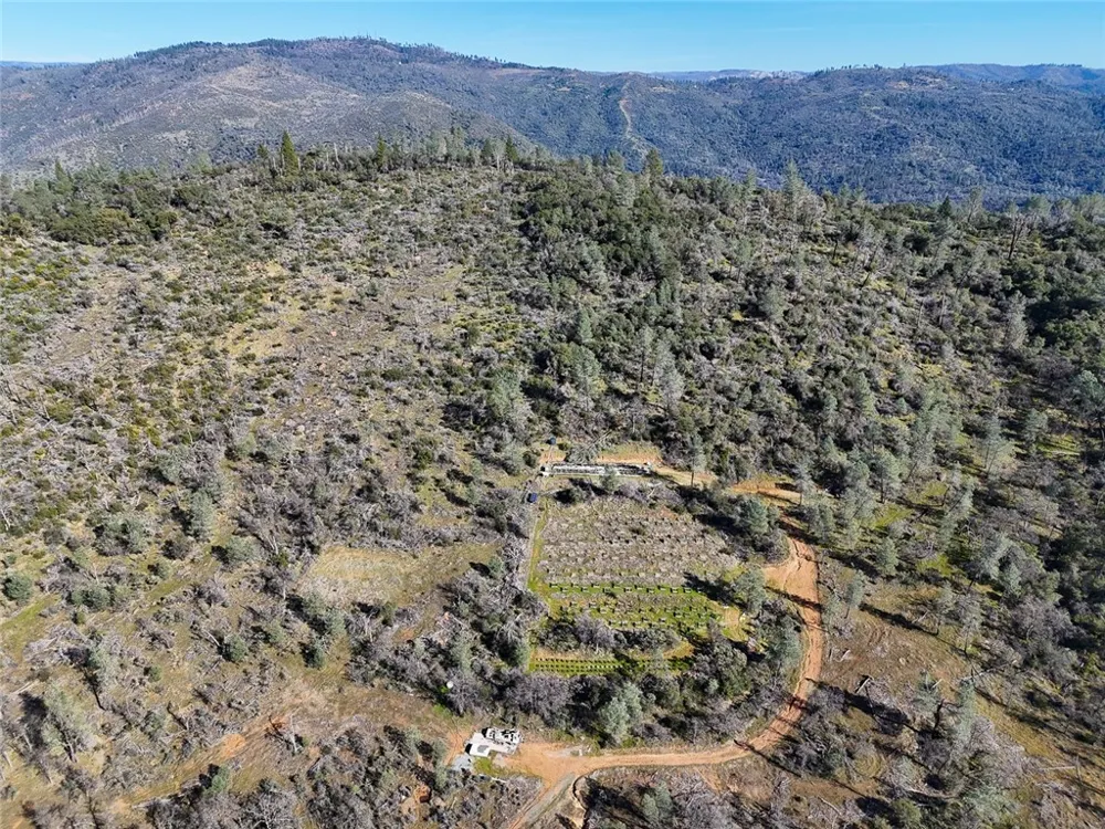 CONDOR ROAD Cherokee, CA 95965
