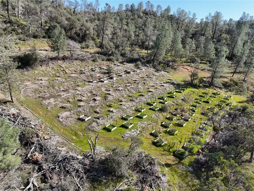 CONDOR ROAD Cherokee, CA 95965