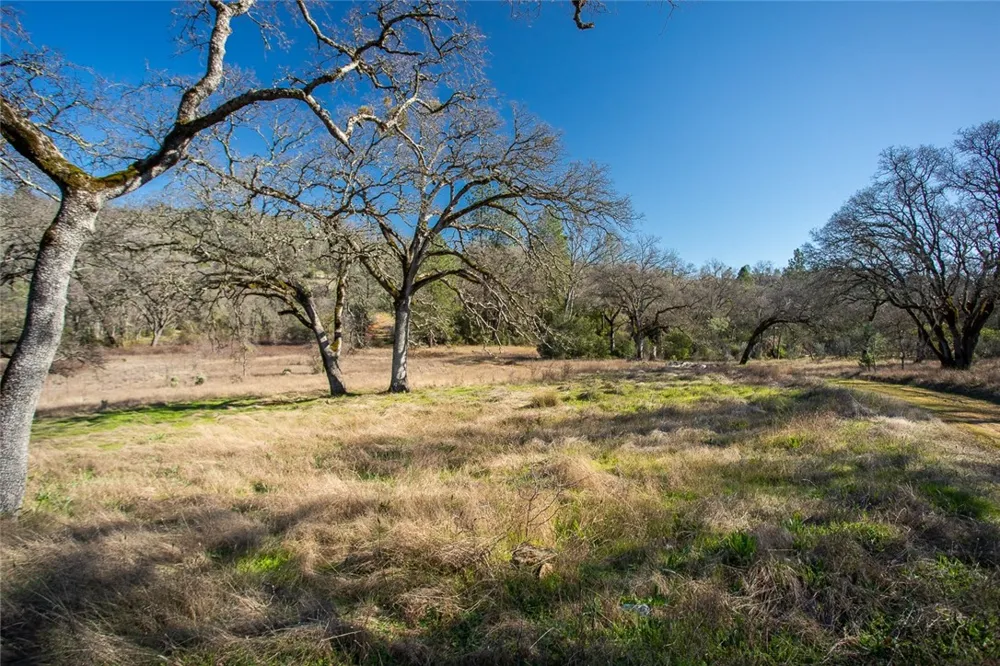 CONDOR ROAD Cherokee, CA 95965