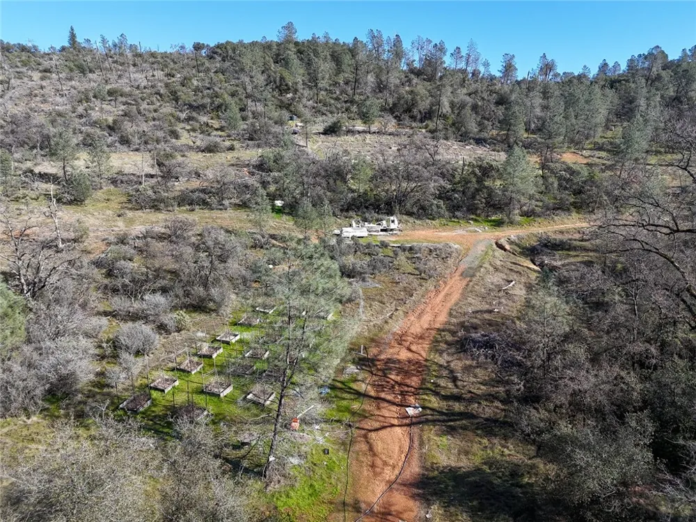 CONDOR ROAD Cherokee, CA 95965