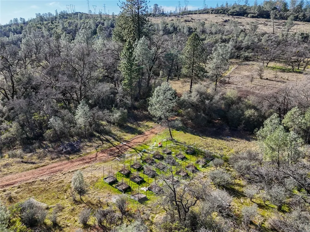 CONDOR ROAD Cherokee, CA 95965