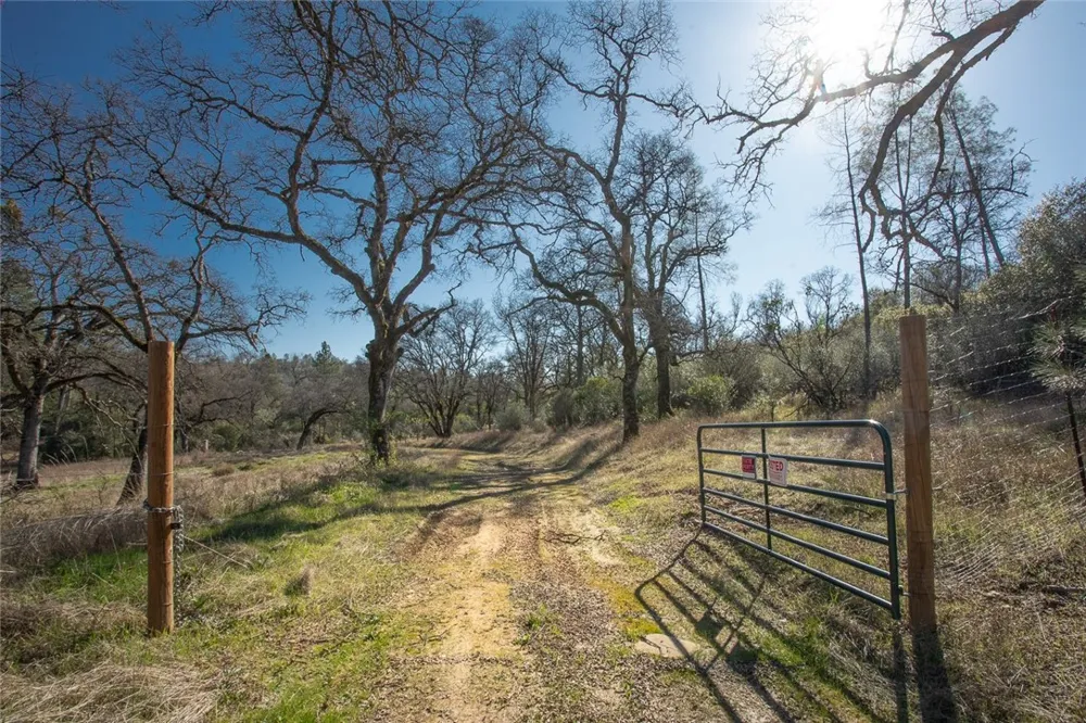 CONDOR ROAD Cherokee, CA 95965