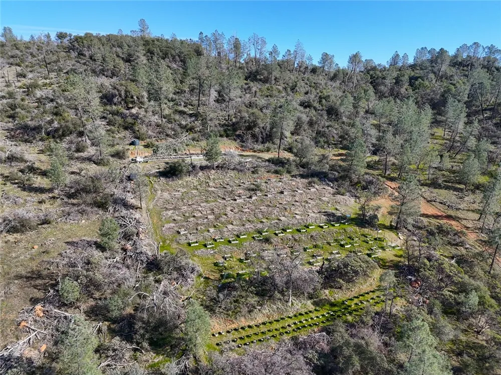 CONDOR ROAD Cherokee, CA 95965