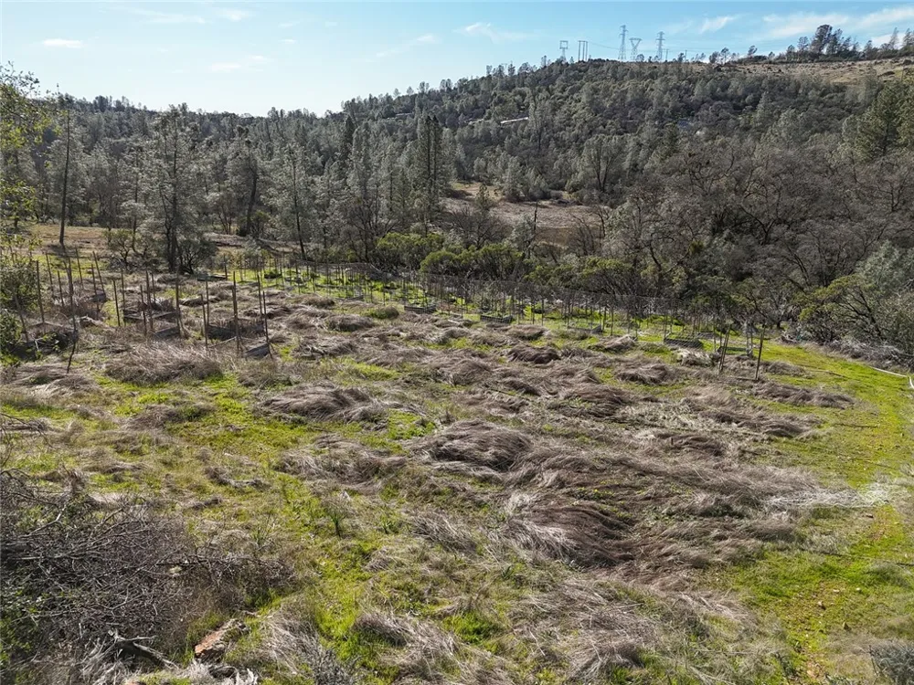 CONDOR ROAD Cherokee, CA 95965