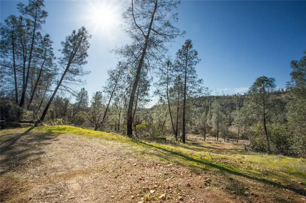 CONDOR ROAD Cherokee, CA 95965