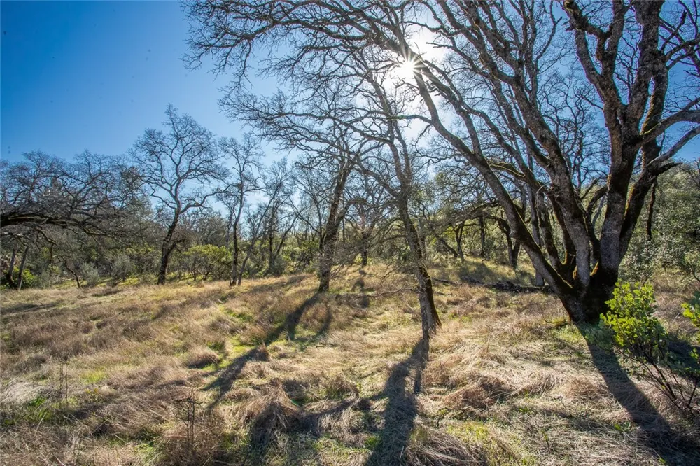 CONDOR ROAD Cherokee, CA 95965