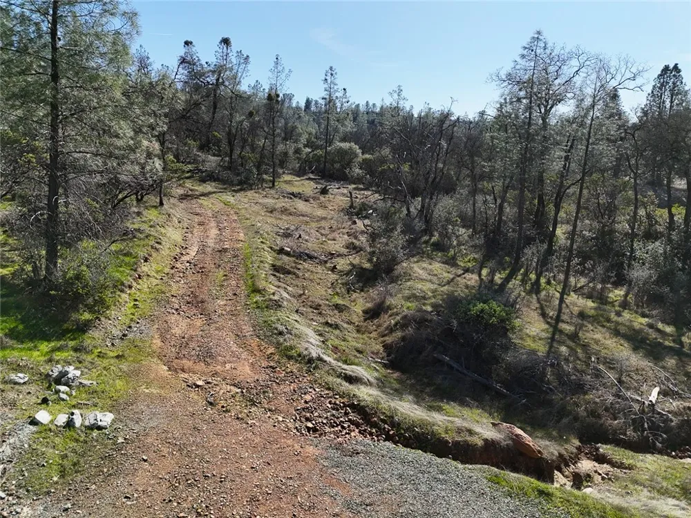 CONDOR ROAD Cherokee, CA 95965