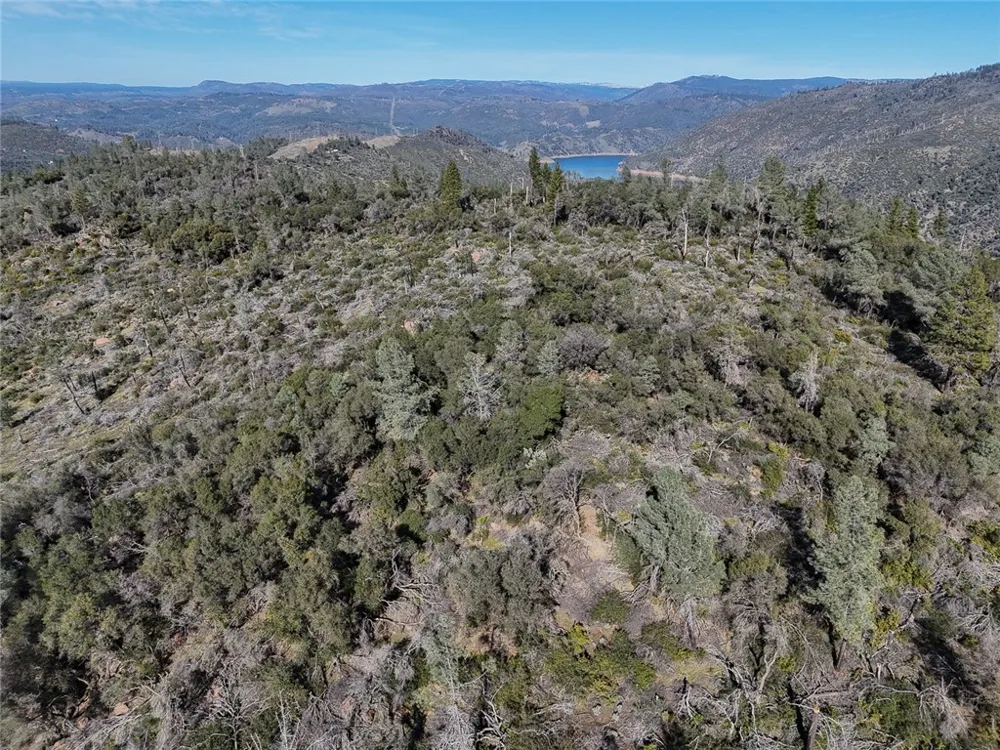 CONDOR ROAD Cherokee, CA 95965