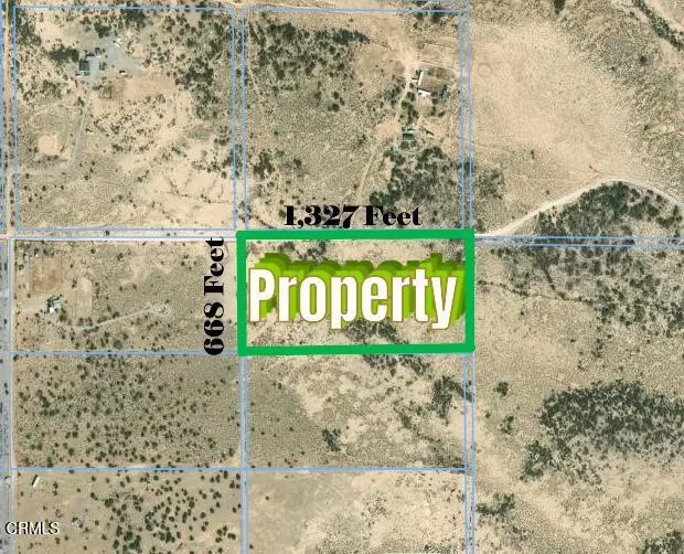91525 Palm Road Baker, CA 92309